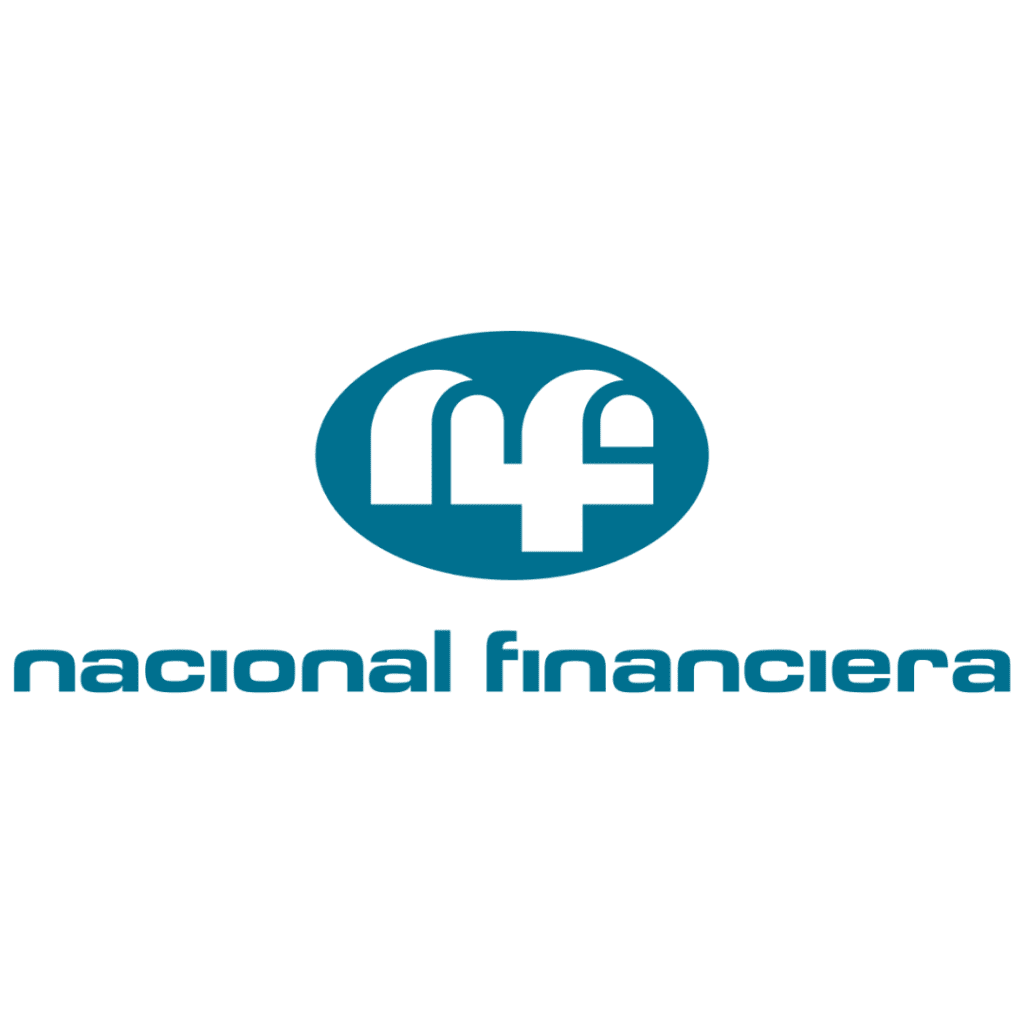 logo nafin